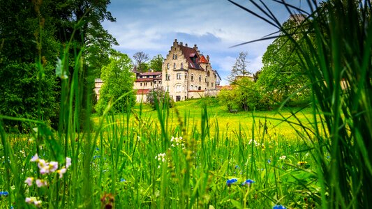 Schlossgarten grasses on the ground