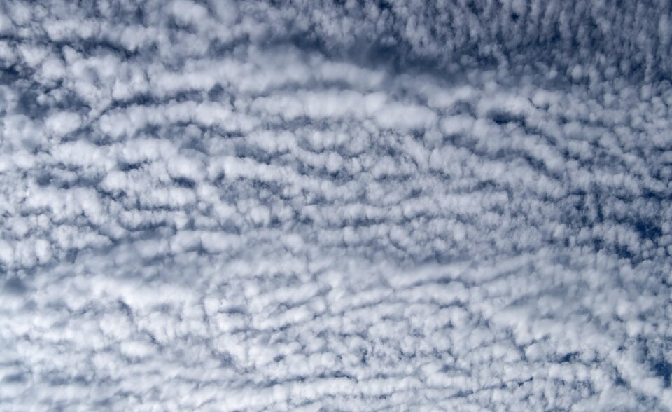 Fluffy cirrocumulus delicate