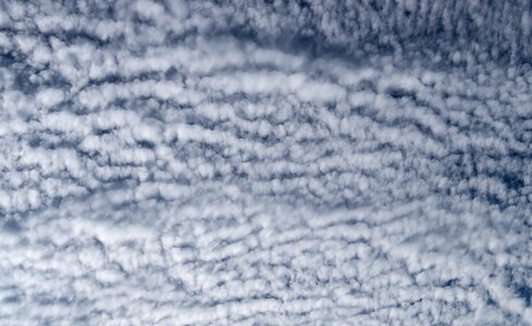 Fluffy cirrocumulus delicate photo