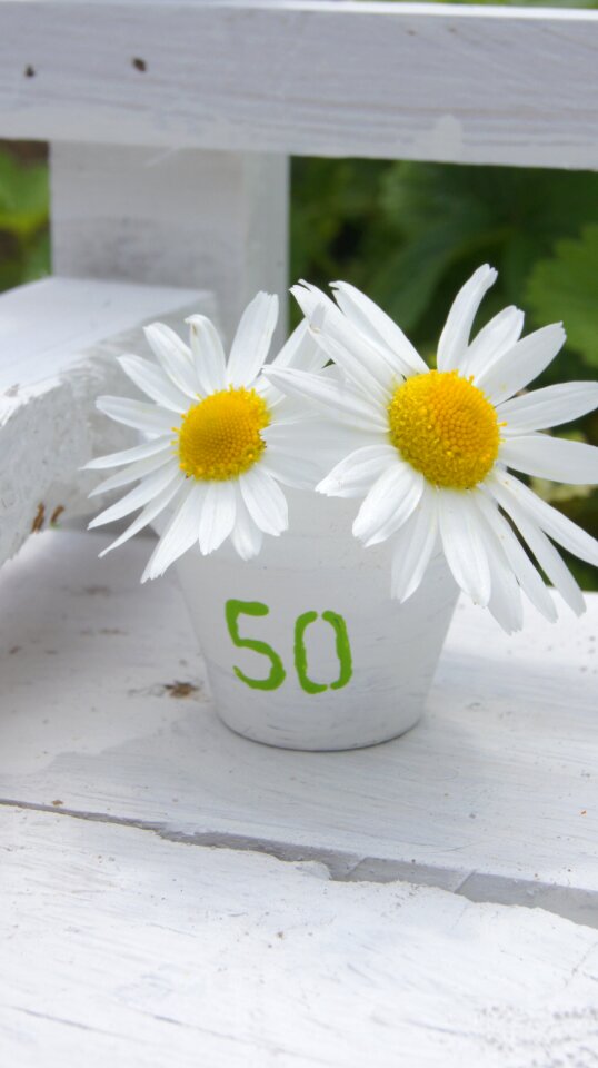 Map anniversary flower