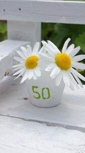 Map anniversary flower