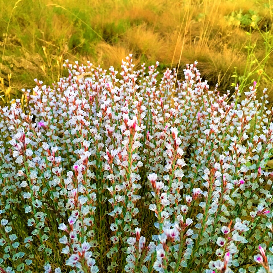 Open air rural spring