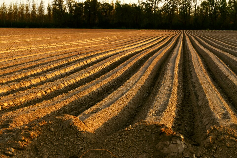 Nature the preparation of the seeding