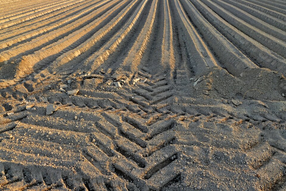 Nature the preparation of the seeding