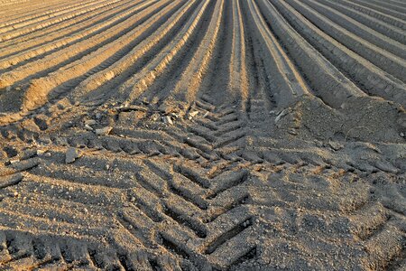 Nature the preparation of the seeding