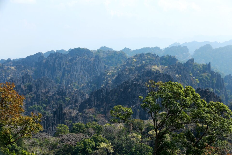 The scenery the mountains stone forest