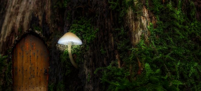 Forest treehouse mushroom lamp