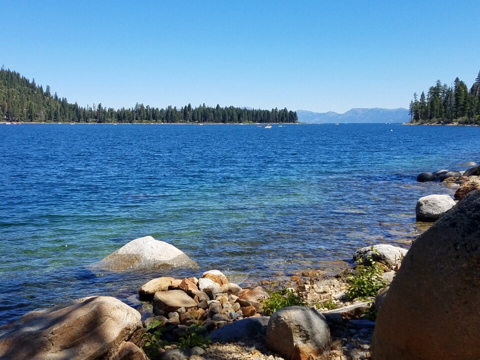 Nature california water