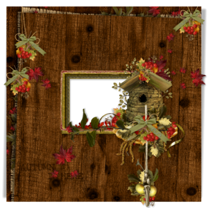 Scrapbooking decor for photos