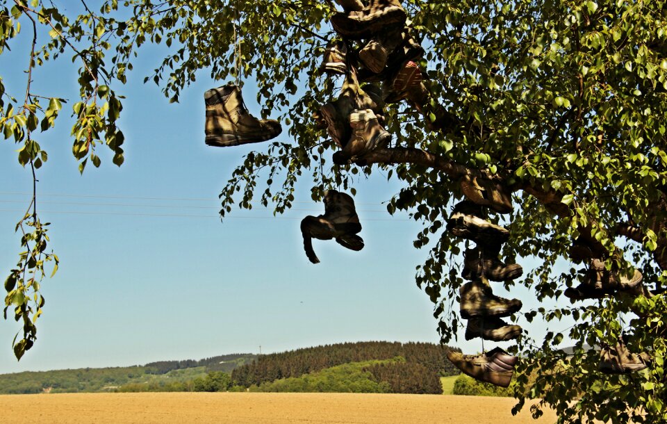 Landscape hiking leather shoes