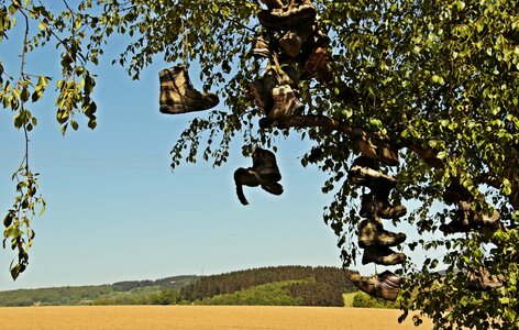 Landscape hiking leather shoes