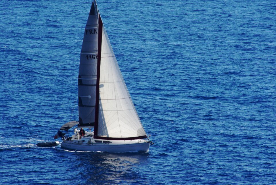 Mediterranean appendix marin