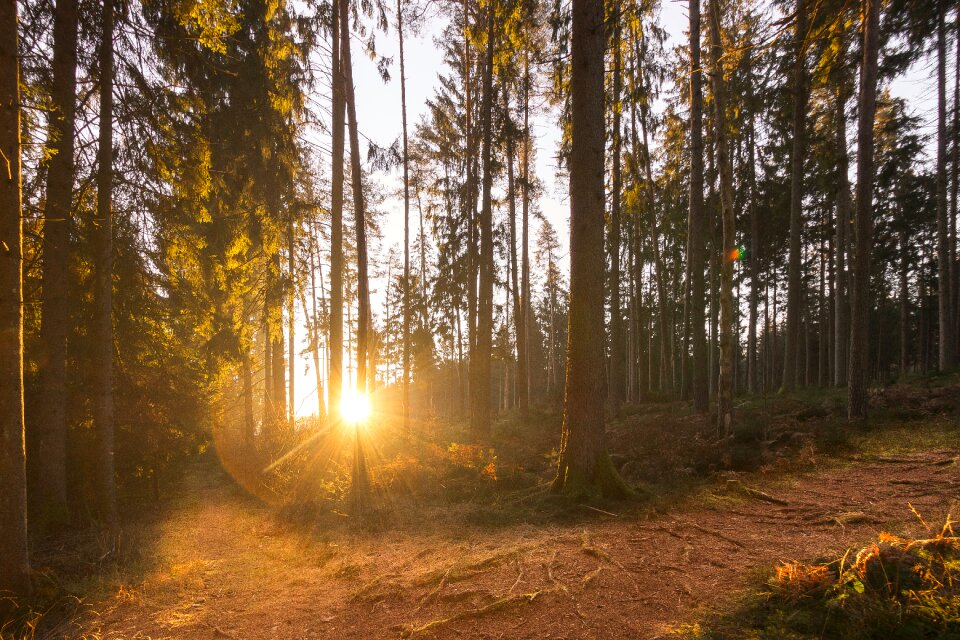 Sunlight mood light beam photo