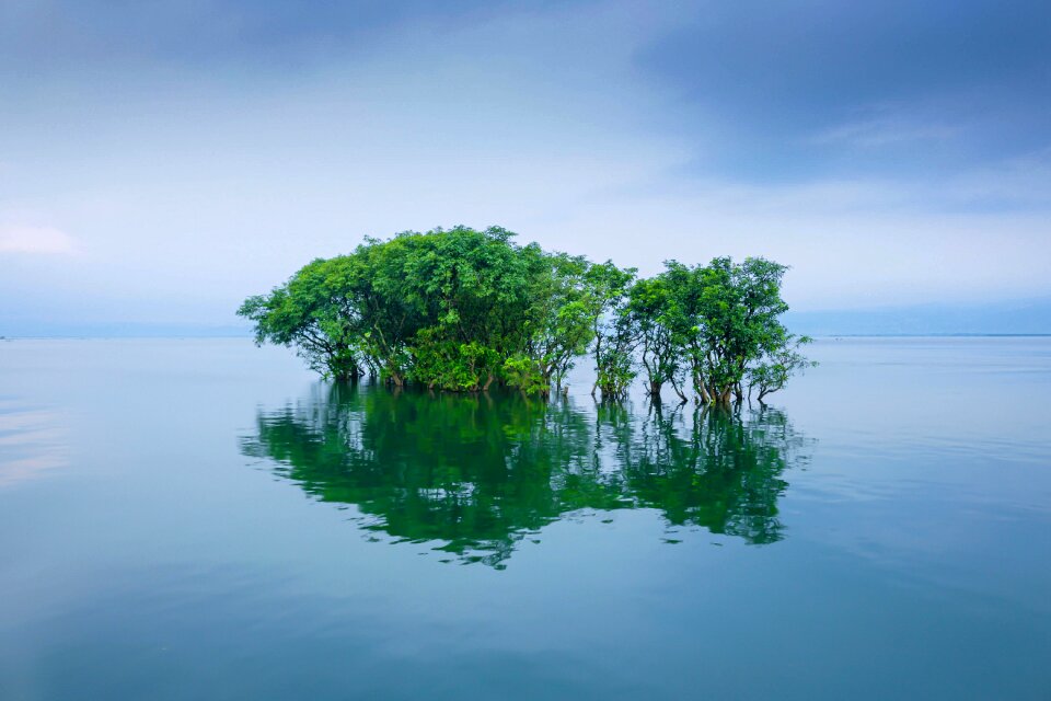 Water landscape lake