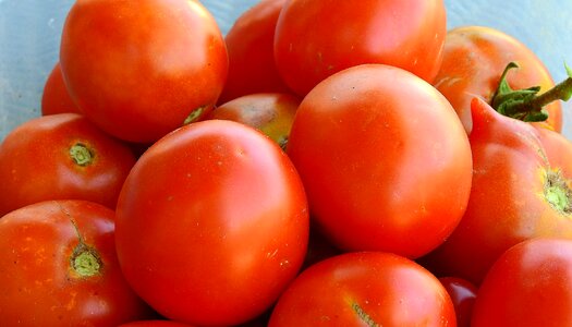 Fresh delicious healthy