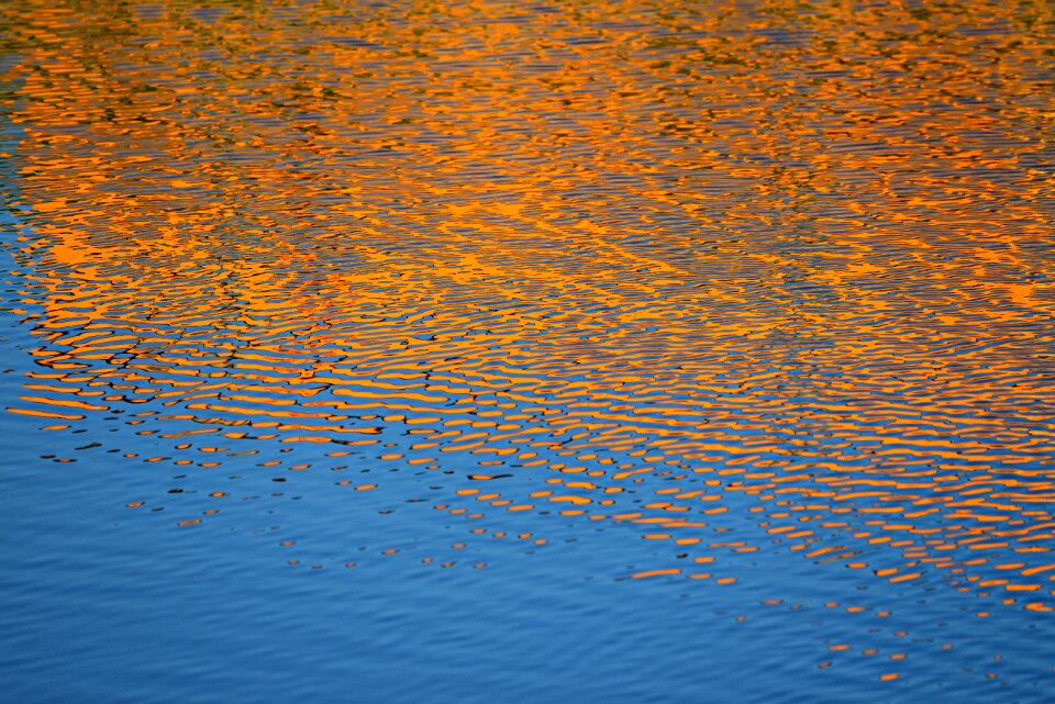 Golden pond surface
