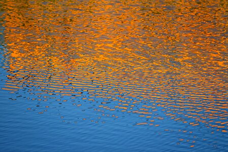 Golden pond surface photo
