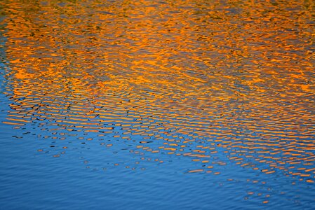 Golden pond surface