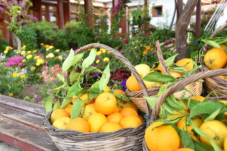 Baskets summer leaves