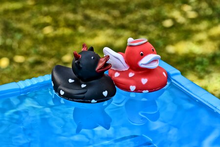 Opposites ducks rubber