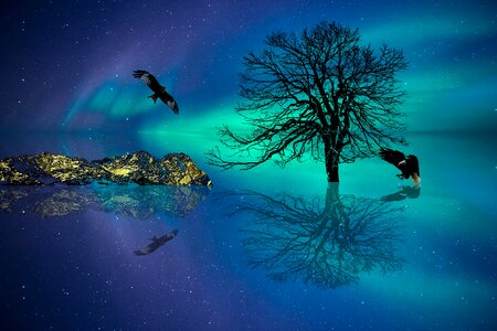 Nature northern lights star