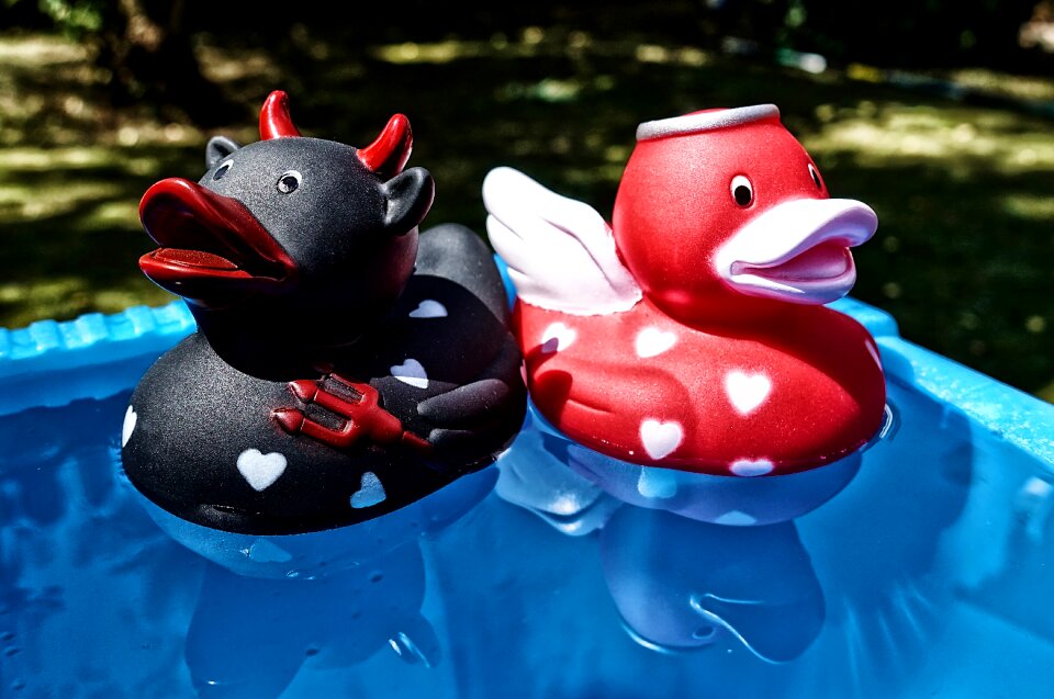Opposites ducks rubber