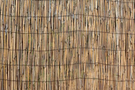 Wood bamboo reed
