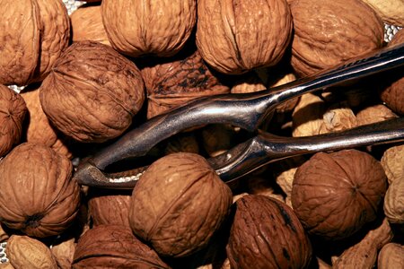 Walnuts nutcracker food
