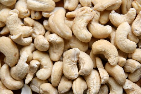 Nuts food cashew photo