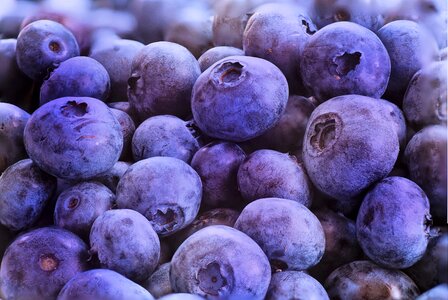 Food fresh healthy