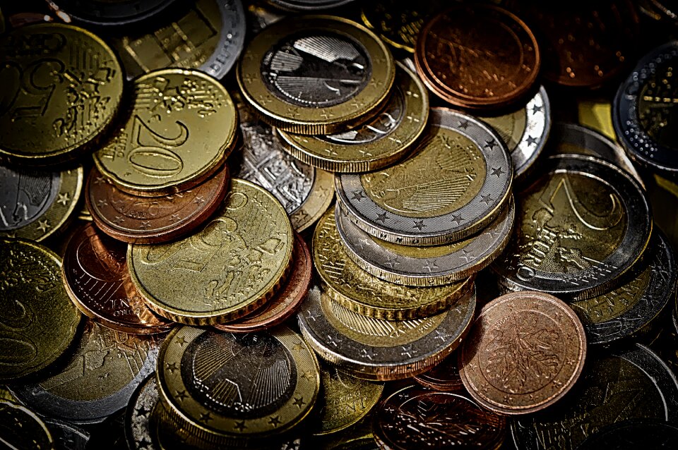 Euro specie loose change