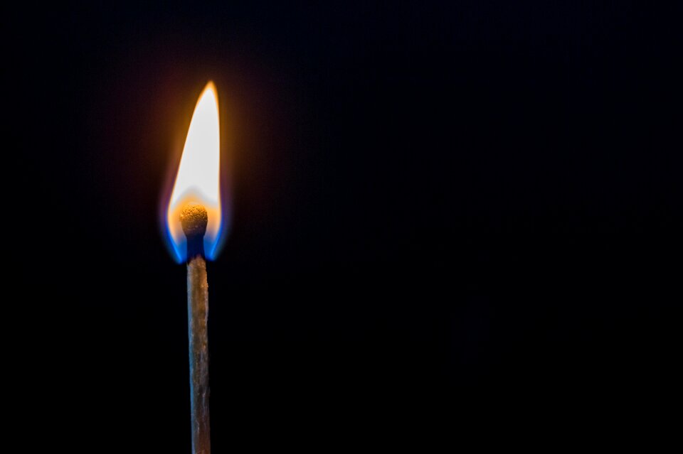 Fire matches tree