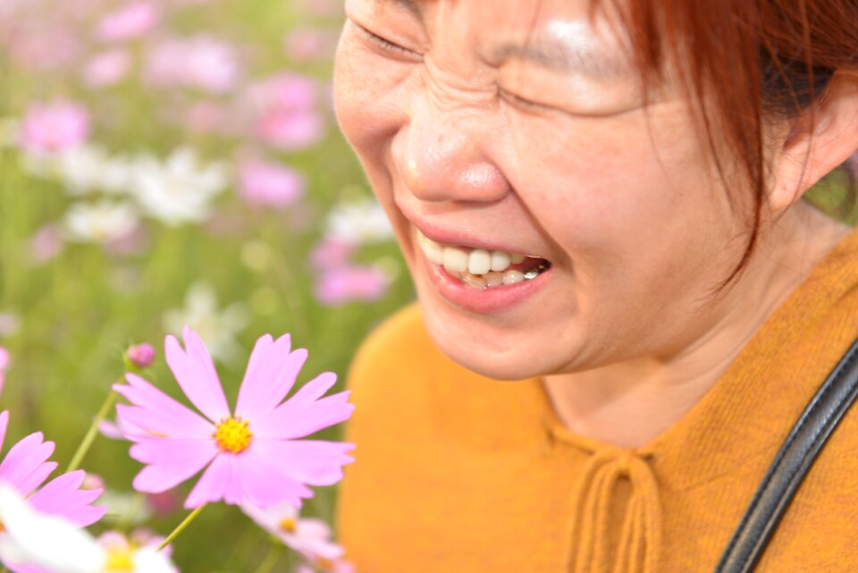 Cosmos woman flowers