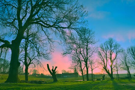 Rural countryside skies