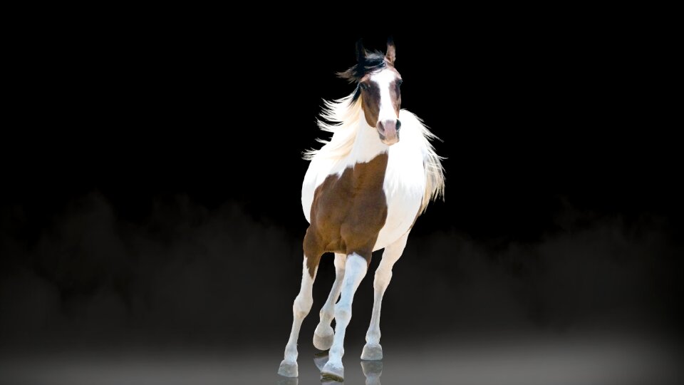 Running black frame