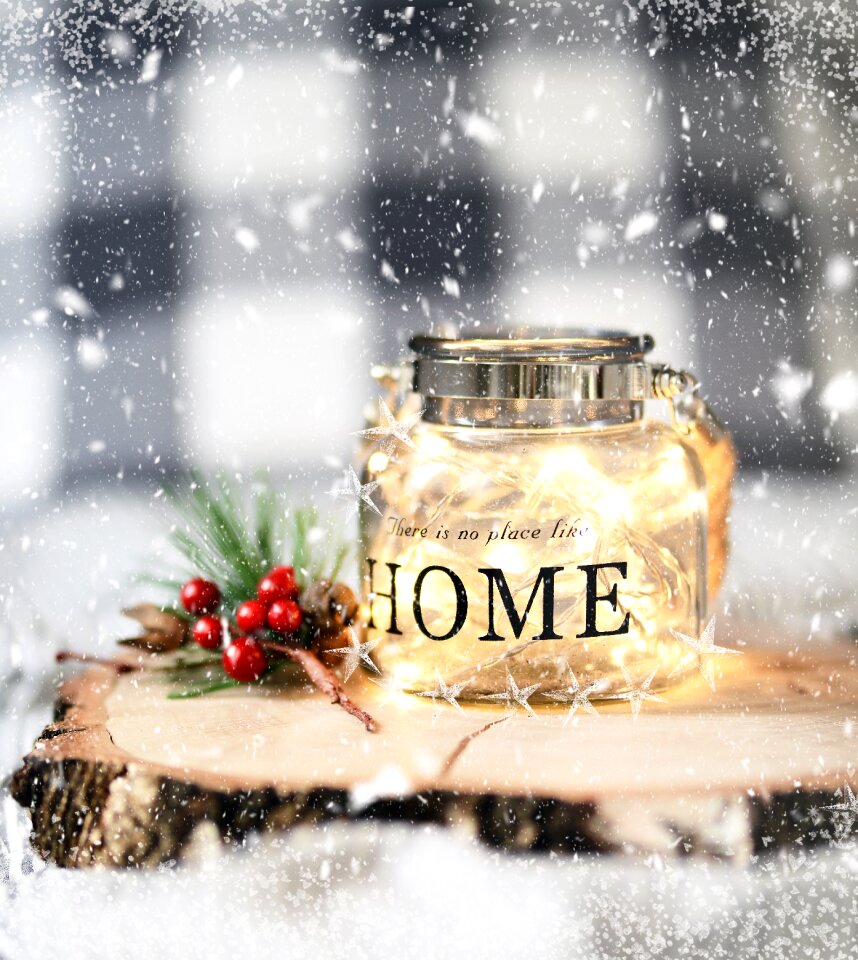 Christmas ornaments ornament