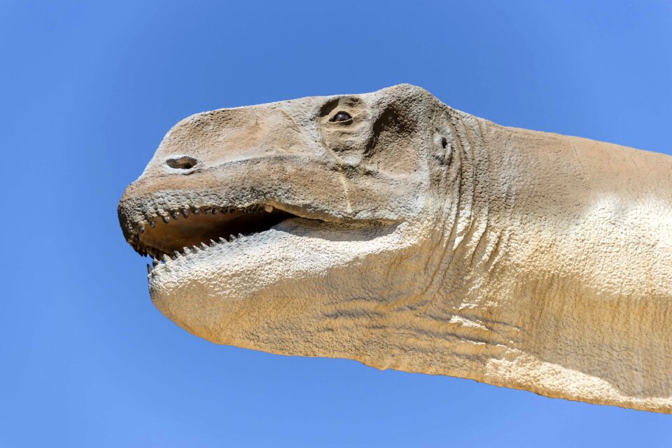 Prehistoric animals paleontology