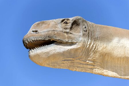 Prehistoric animals paleontology