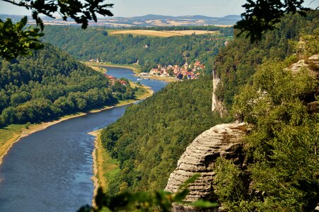 Germany elbe wooded photo