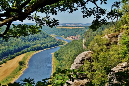 Germany elbe wooded photo