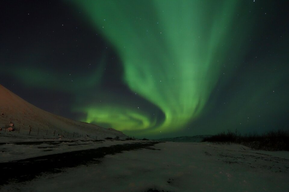 Iceland night sky raven