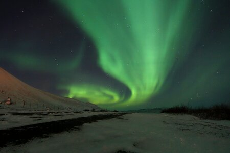 Iceland night sky raven