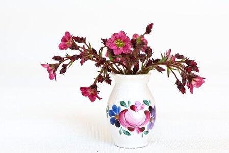 Vase flower vase deco photo