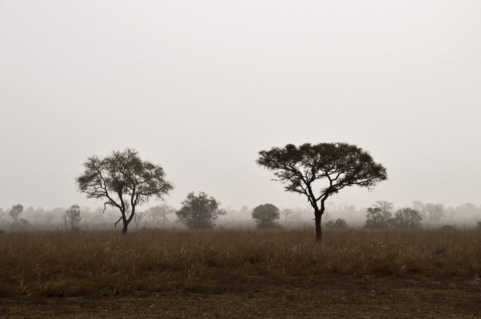 Wallpaper fog goodbye