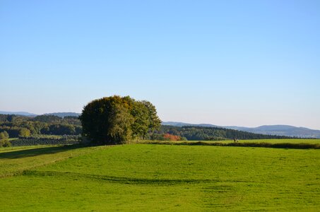 Dam sunshine green