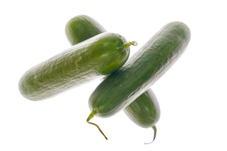 Food nutrition fresh