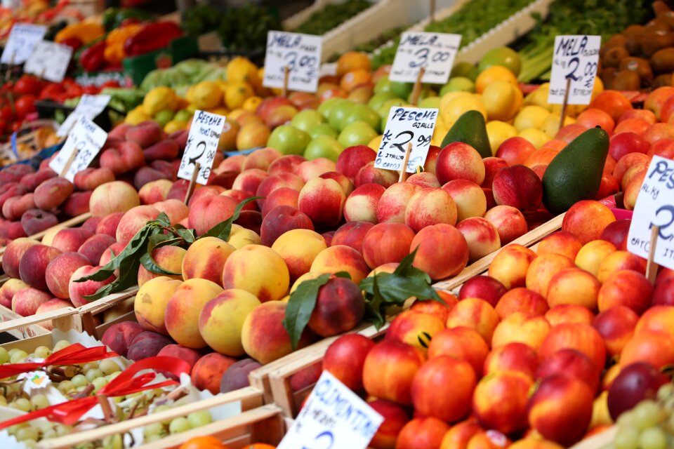 Mediterranean vegetable summer