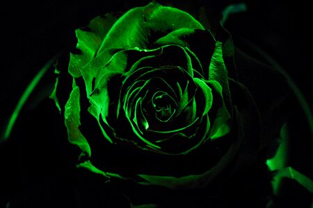 Background night decoration