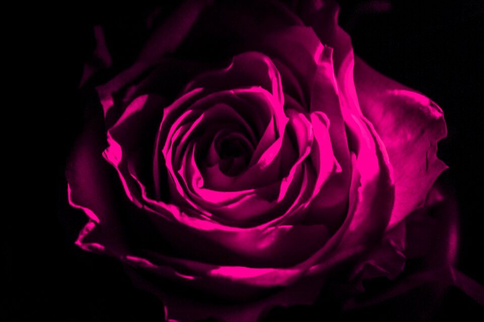 Background night decoration