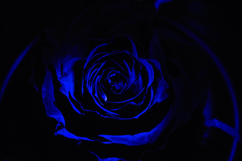 Background night decoration